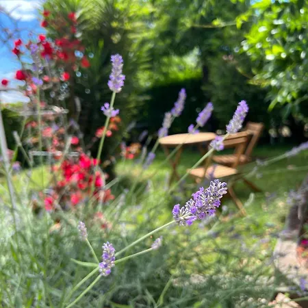 Stanger 2 Affittacamere