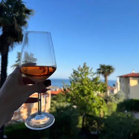 Stanger 2 Gostinjska kuća 4*